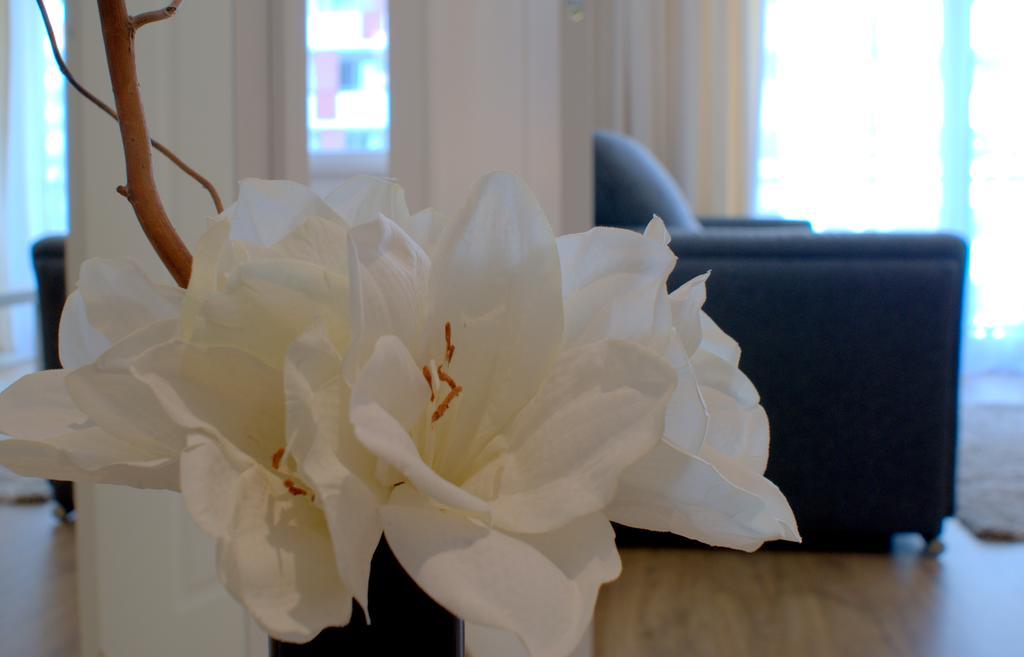 Irs Royal Apartments Apartamenty Irs Trzy Zagle غدانسك المظهر الخارجي الصورة